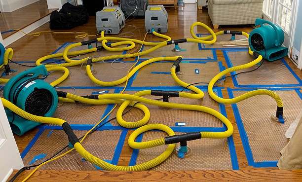 Professional Crawl Space Water Removal technician working in North Easton, MA